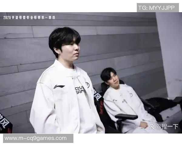 TES配合引发热议分析英雄联盟战队协作的争议与未来发展