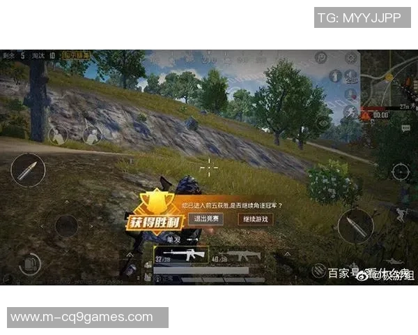 深度探讨周秀英在和平精英中的成长与人生哲学 深度探讨周秀英在和平精英中的成长与人生哲学